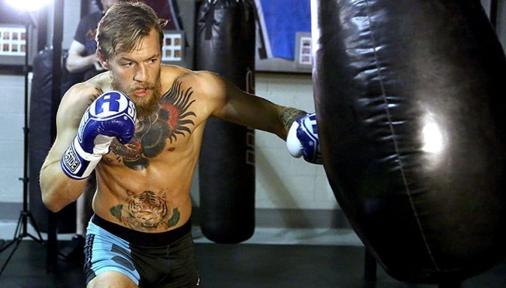 Открытая тренировка Конора МакГрегора