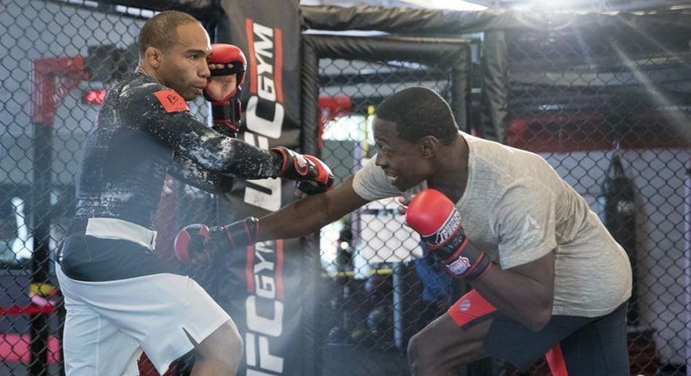 UFC Fight Night 96: открытая тренировка