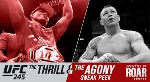 UFC 245: взлеты и падения