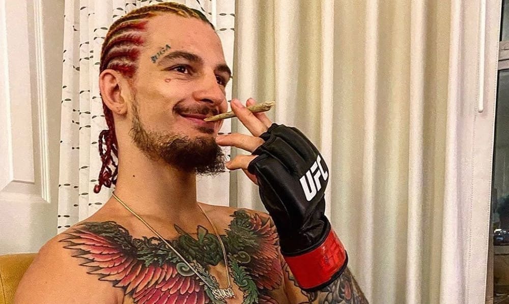 Шон О'Мэлли объявил себя чемпионом UFC