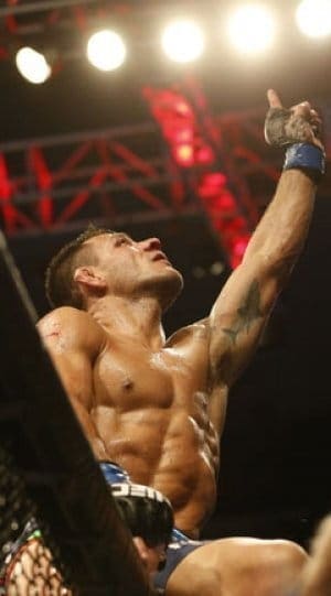 Бонусы турнира UFC 185