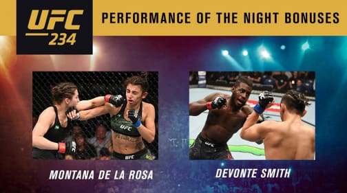 Бонусы турнира UFC 234