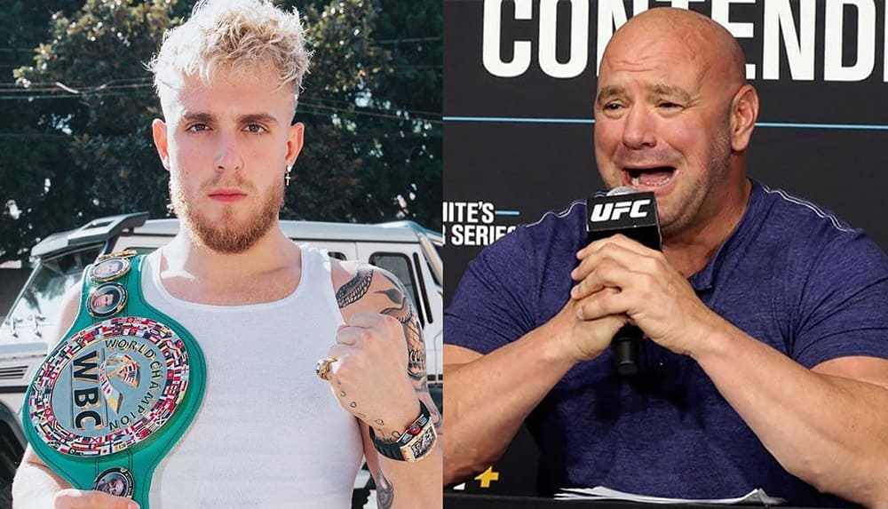 UFC head Dana White responds to blogger challenging Conor McGregor