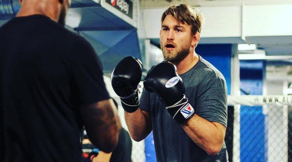 Александр Густафссон хочет драться за временный титул UFC в полутяжелом весе