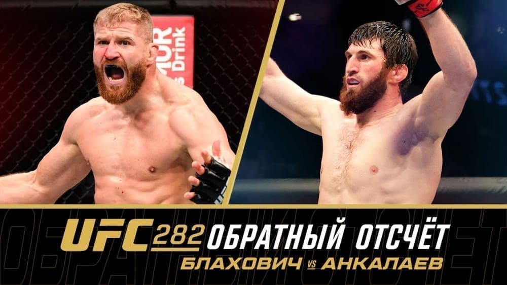 UFC 282: обратный отсчет