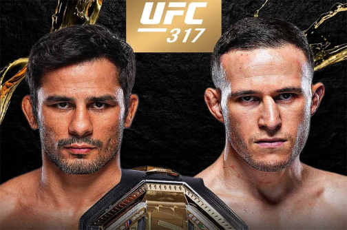 Бой Пантожи и Кара-Франса в разработке на UFC 317