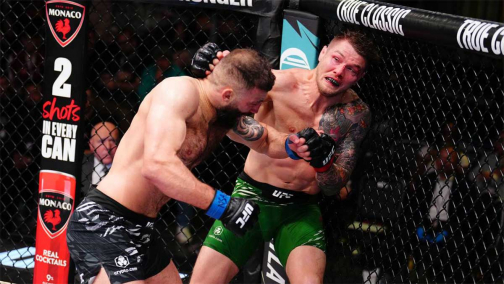 Результаты турнира UFC Fight Night 254: Долидзе победил Веттори