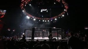 Анонсированы правила претендентского турнира-восьмерки WSOF в легком весе
