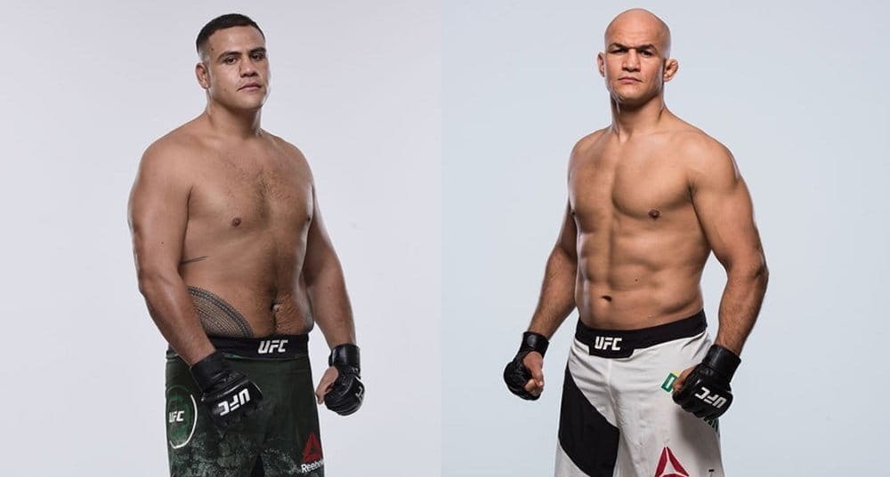 Джуниор Дос Сантос против Тая Туивасы на UFC Fight Night 142 в Аделаиде