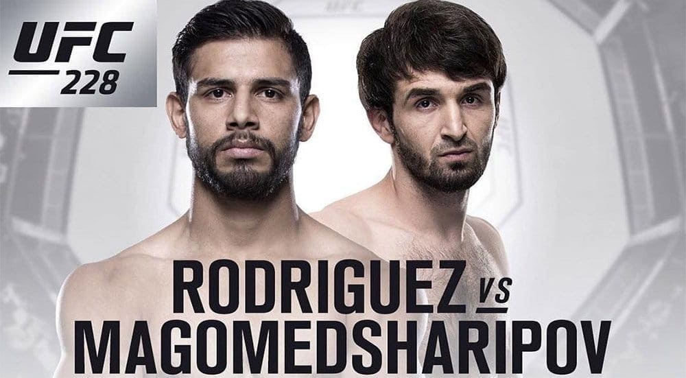 Подтверждены восемь поединков турнира UFC 228