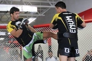 UFC Fight Night 70: открытая тренировка