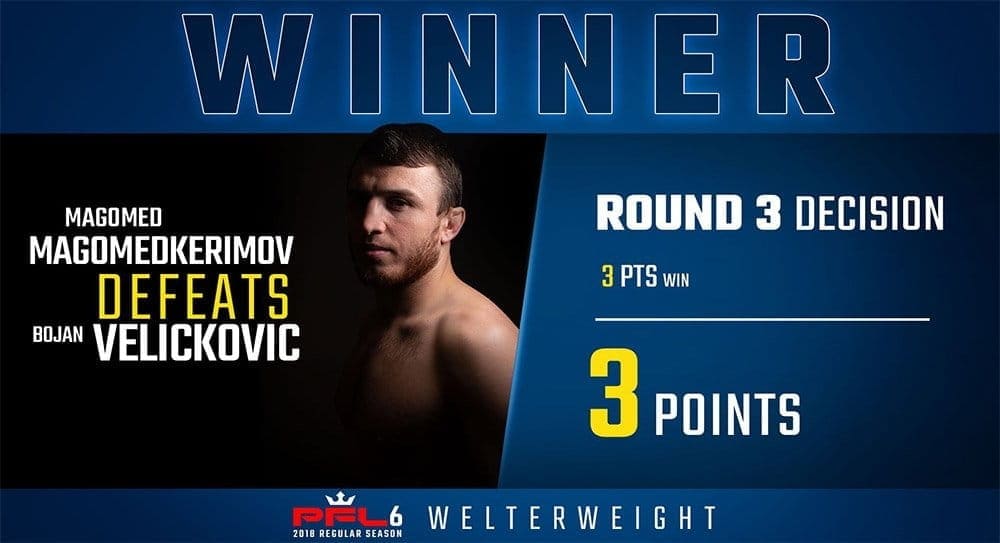 Магомед Магомедкеримов, Шамиль Гамзатов и Гасан Умалатов проходят в плей-офф первого сезона PFL