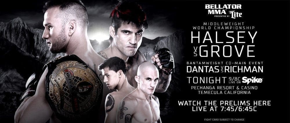 Bellator 137: видео и результаты