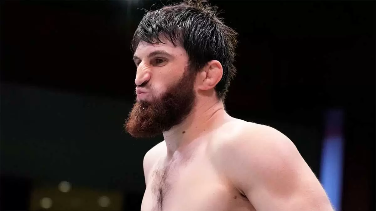 Букмекеры оценили шансы Магомеда Анкалаева на чемпионство в UFC