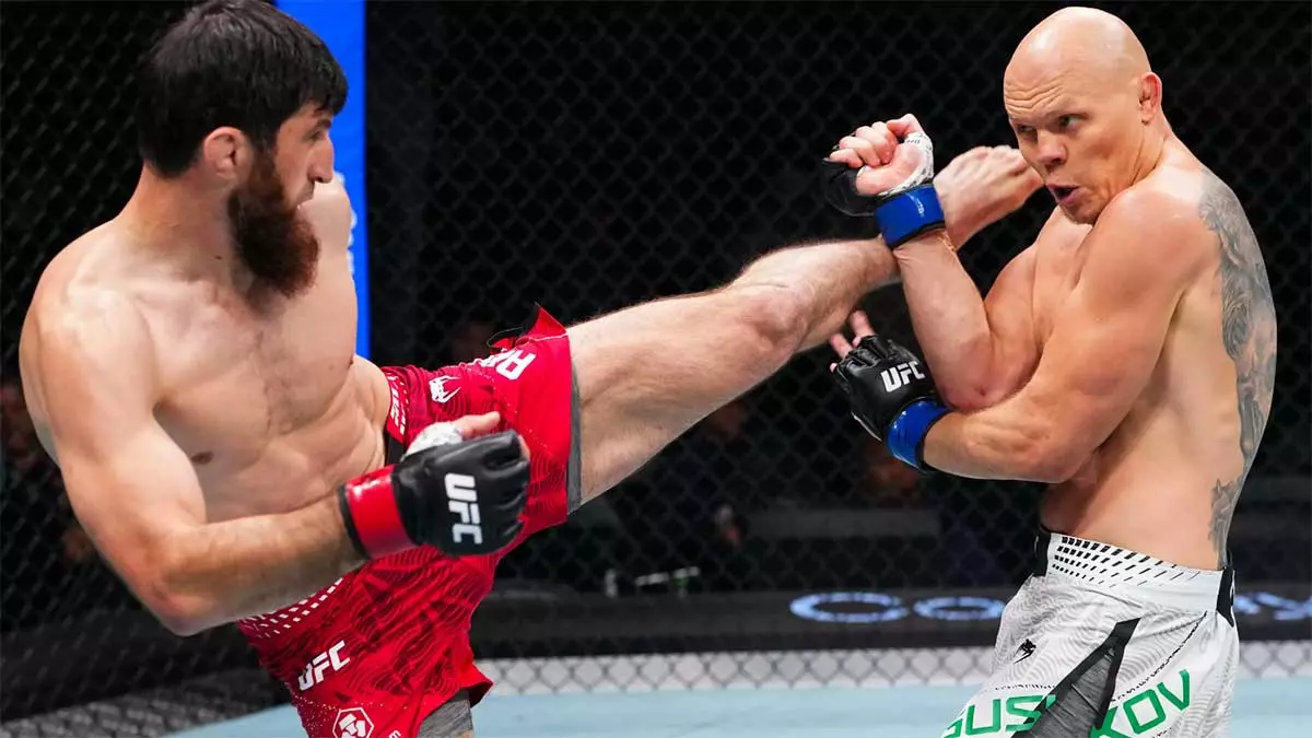UFC Fight Night 282