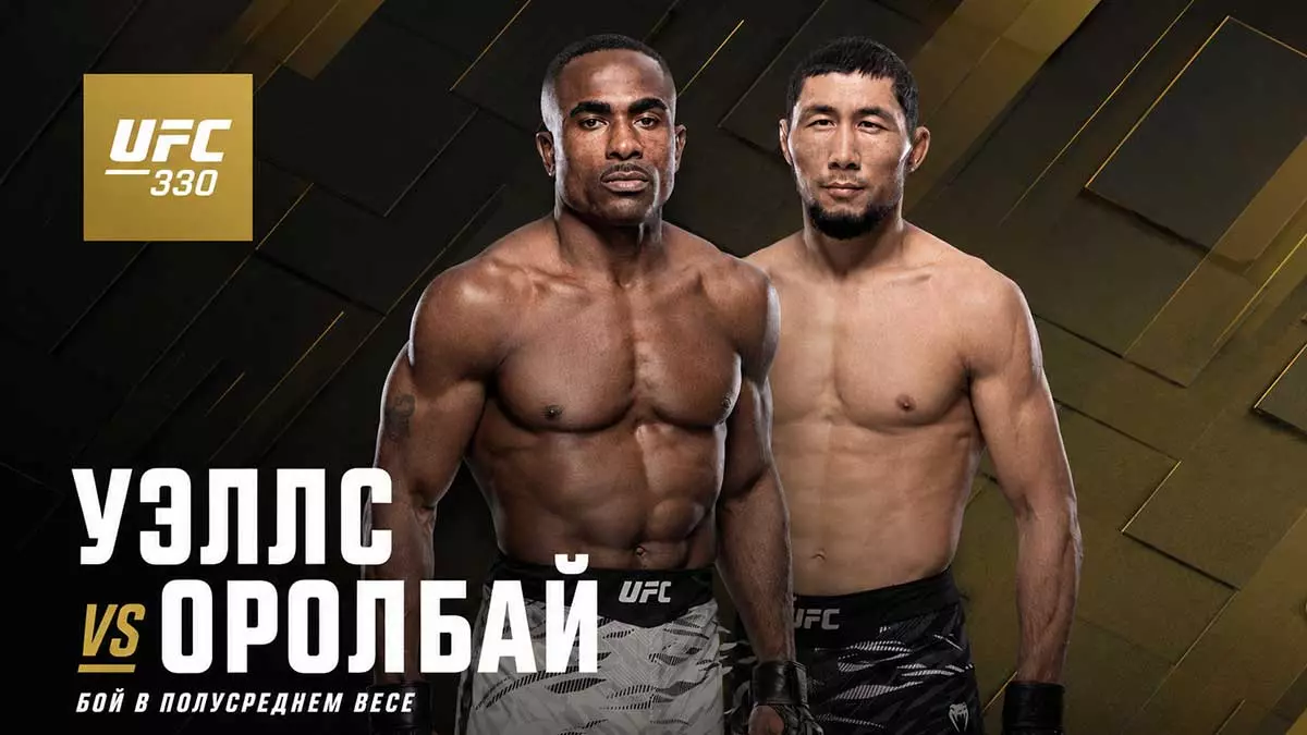 UFC 330