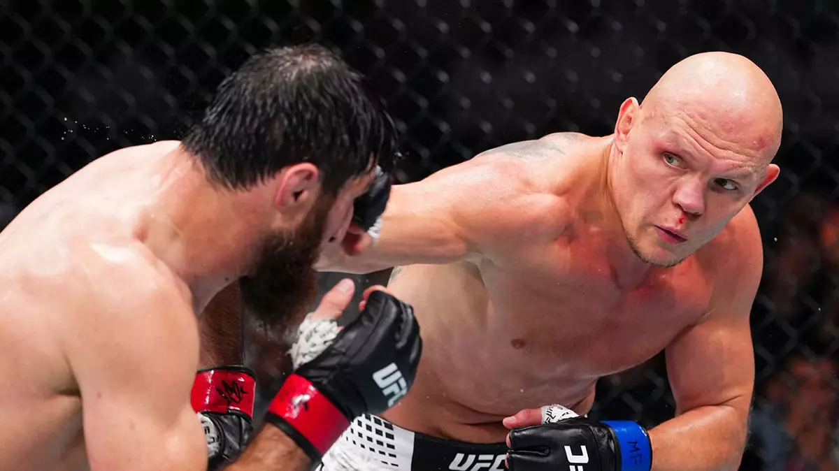 UFC Fight Night 282