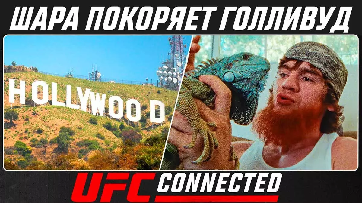 Шара Буллет покоряет Голливуд