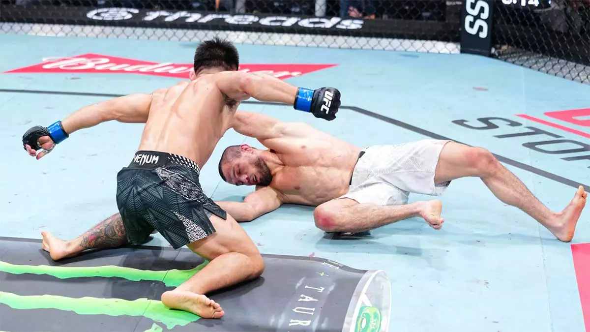 UFC Fight Night 286