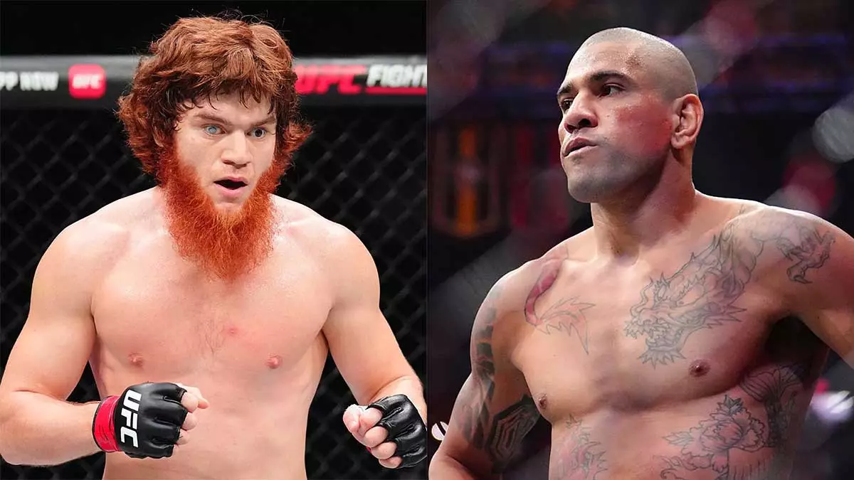 Шарабутдин Магомедов и Алекс Перейра