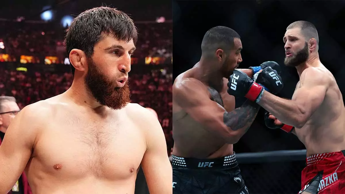 Магомед Анкалаев, Карлос Улберг и Иржи Прохазка